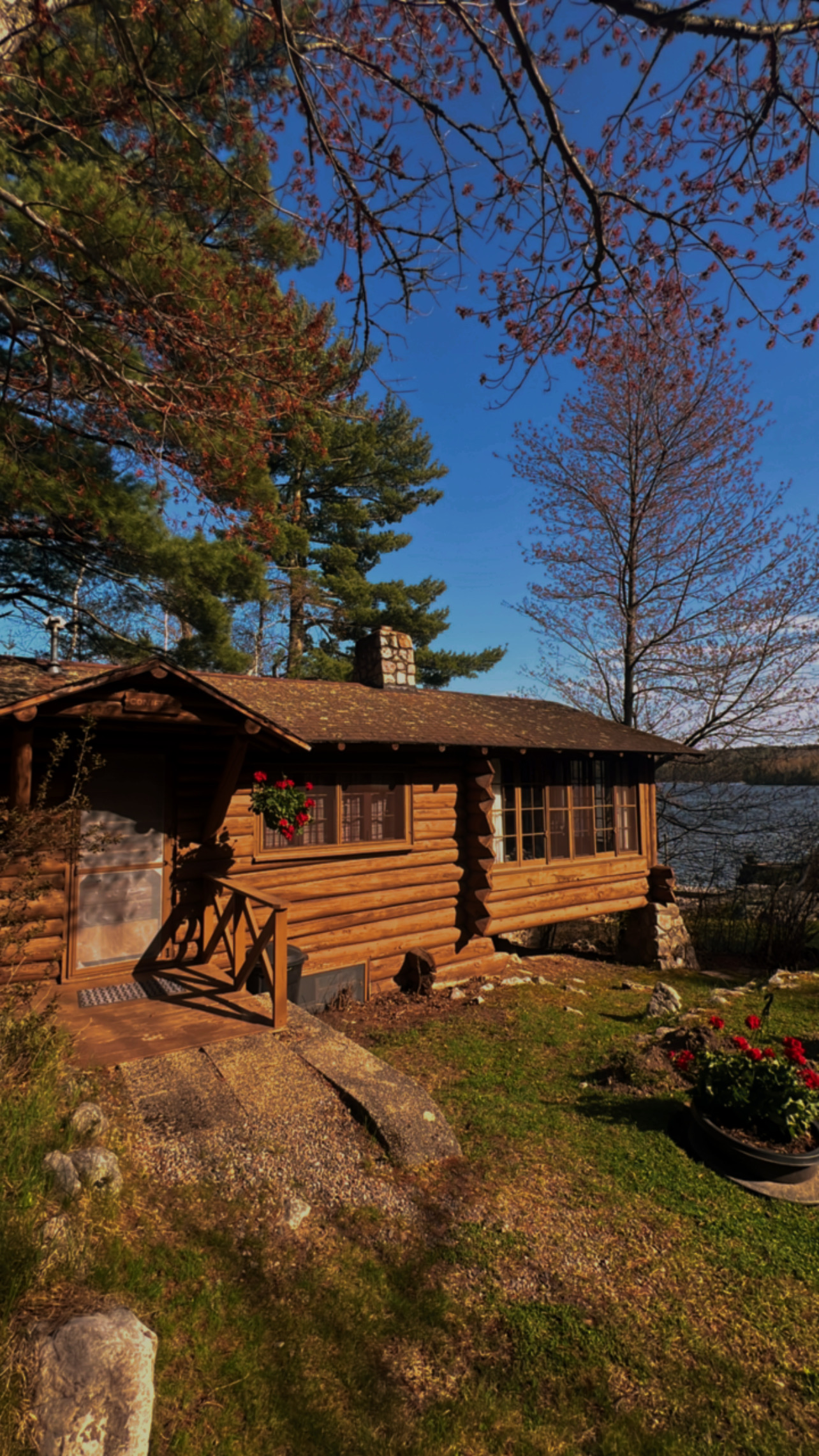 Conifer view 5