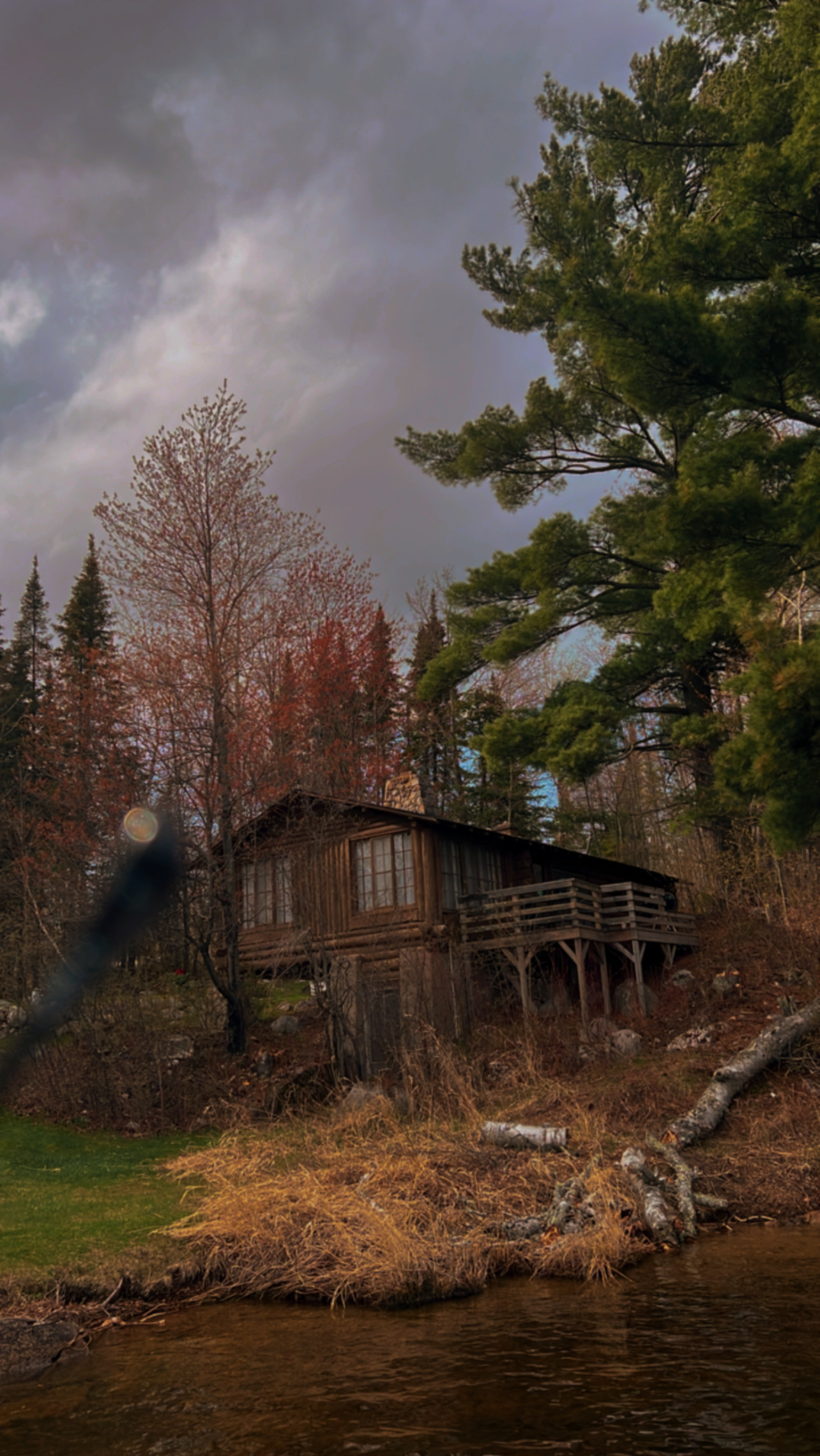 Conifer view 6